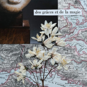 Des grâces ATELIER LE TEMPS DES FLEURS