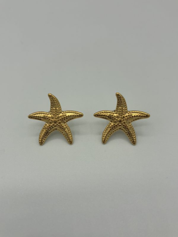 Boucles d’oreilles Etoiles De Mer en acier LES CLEIAS