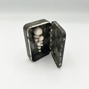 Boîte Céramique méduse ANNE BERTHELOT