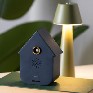 Sound box Moder Cuckoo dark blue Present Time